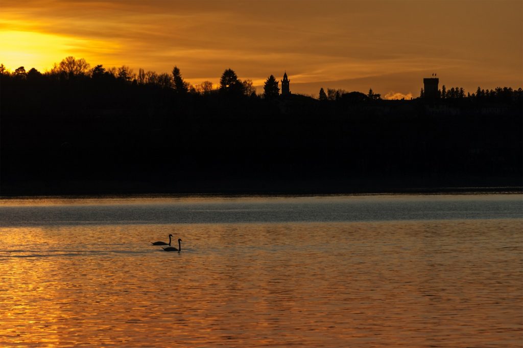 Lago Varese programma azione