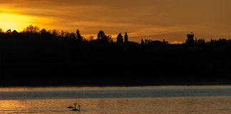 Lago Varese programma azione