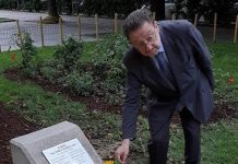 borsellino assessore de corato