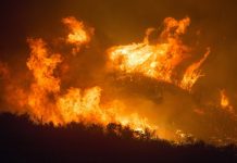 Potenziare dotazioni vigili del fuoco - Foroni