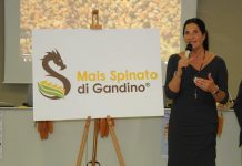 Mais Spinato, l'assessore Magoni alla presentazione dell'edizione 2019 del Gran Galà.