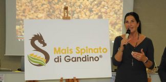 Mais Spinato, l'assessore Magoni alla presentazione dell'edizione 2019 del Gran Galà.