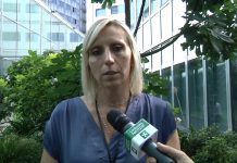 Collegamento stradale veloce Cremona-Mantova, l'assessore Terzi ha scritto al ministro per chiedere un vertice.
