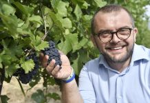 Vino, l'assessore Rolfi interviene in difesa della produzione della zona di Capriano del Colle.