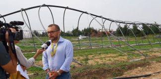 imprese agricole