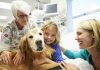 Pet therapy