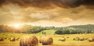 agricoltura emissioni