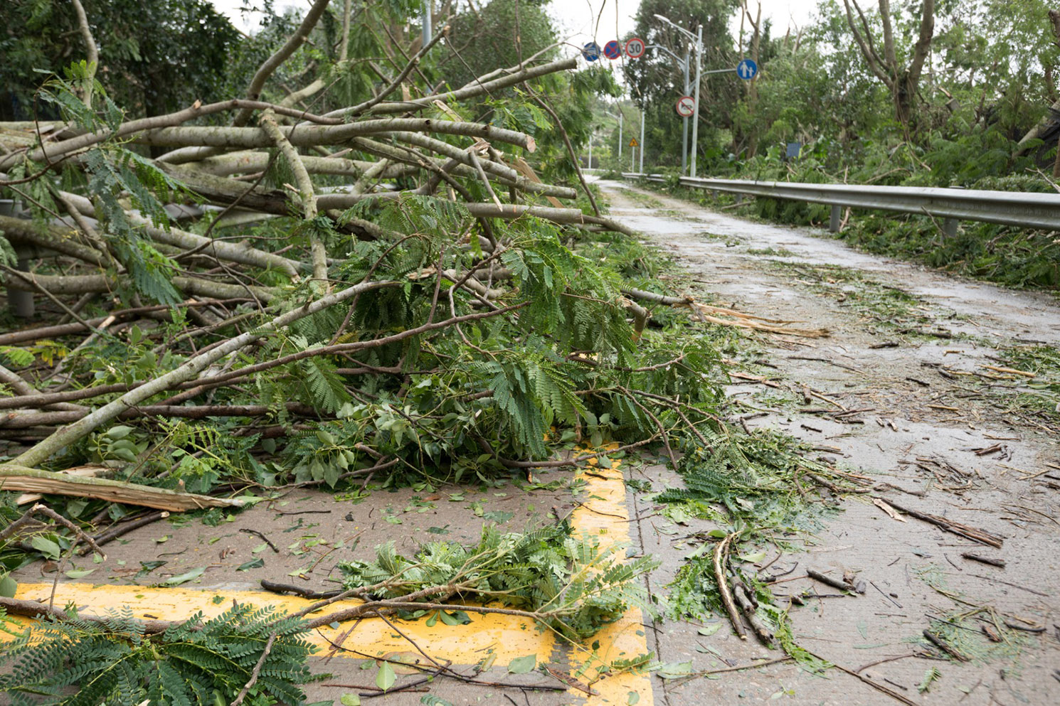 no a richiesta stato di emergenza