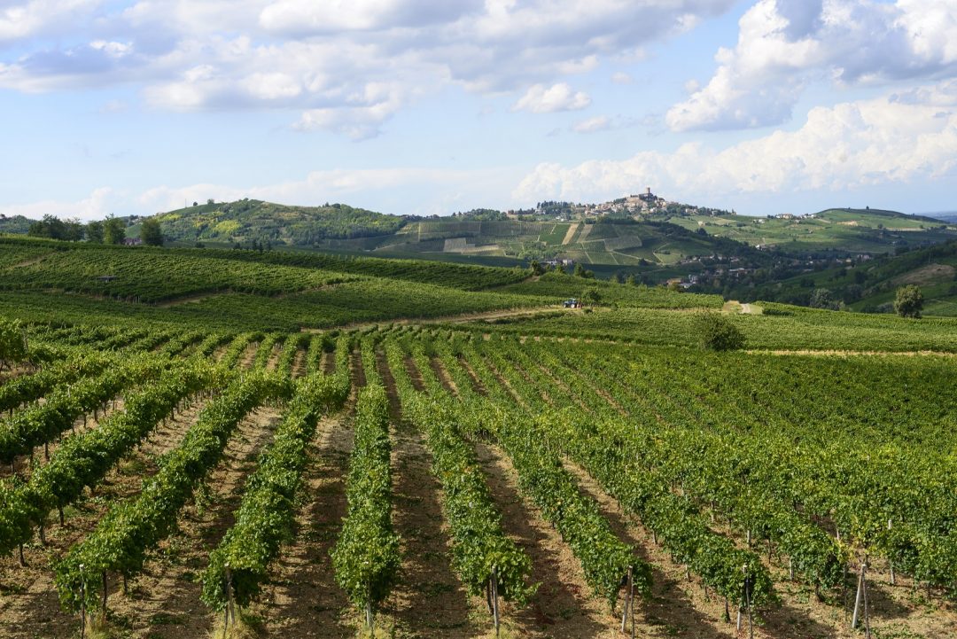 comunità montane misure forestali