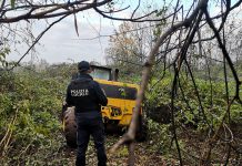 polizia locale rho