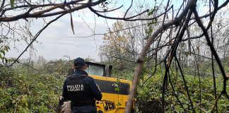 polizia locale rho