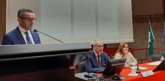 Tutela disabili