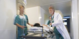 meningite nessuna epidemia