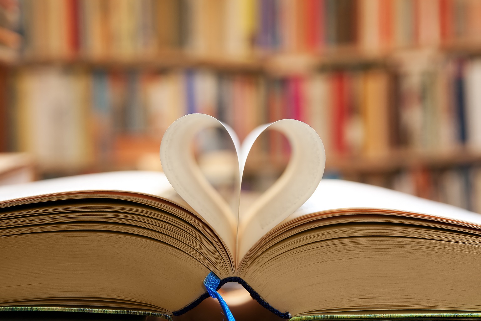 cultura operatori e imprenditorialità