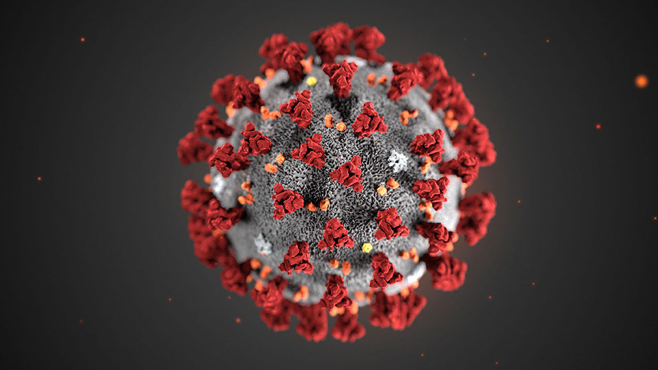 coronavirus treni