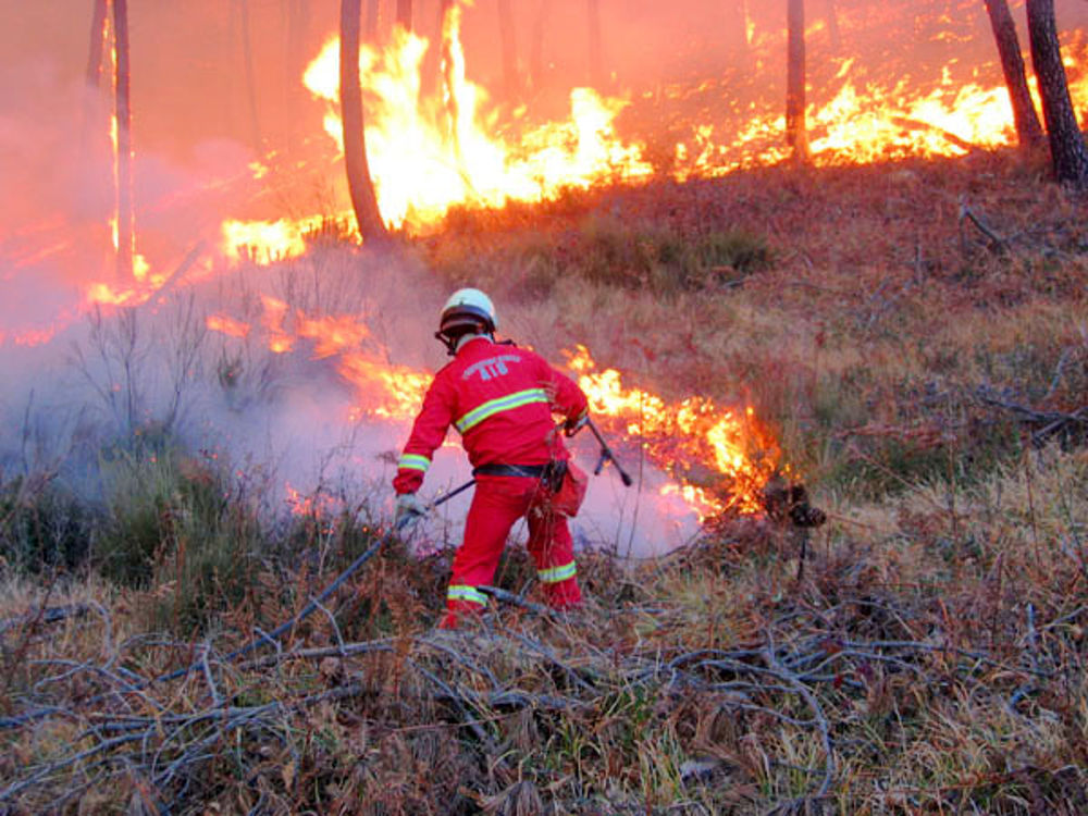 incendi boschivi stagione invernale