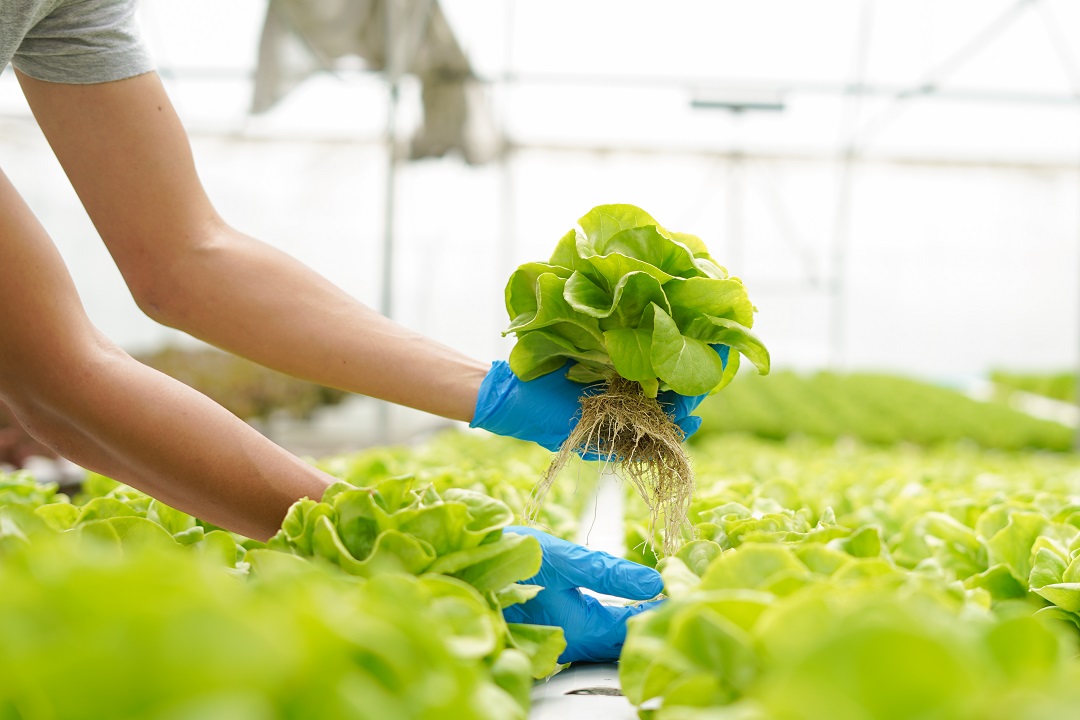 coronavirus lavoro lombardi