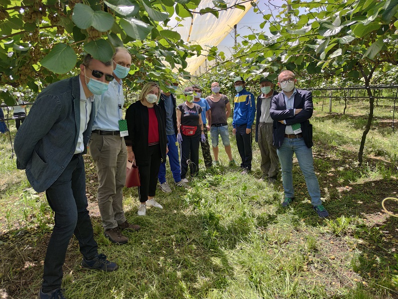 aziende agricole lavoratori