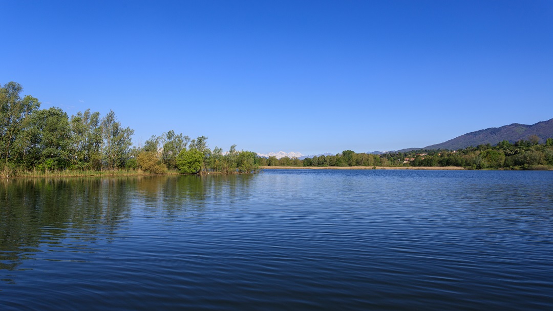 lago varese scelto logo