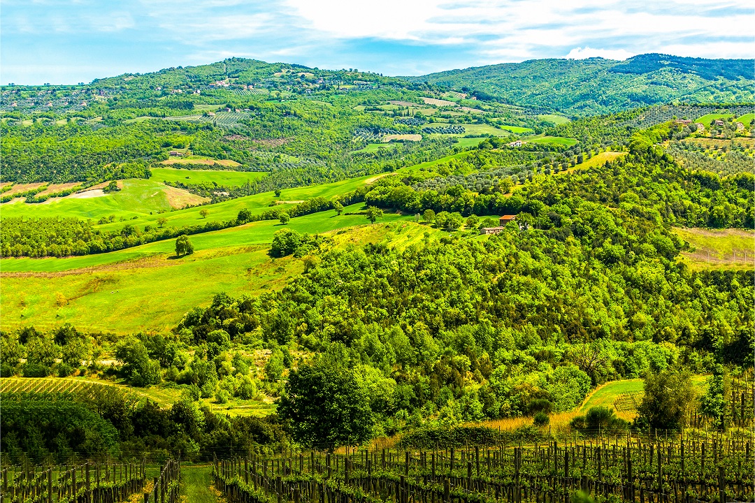 misure forestali comunità montane