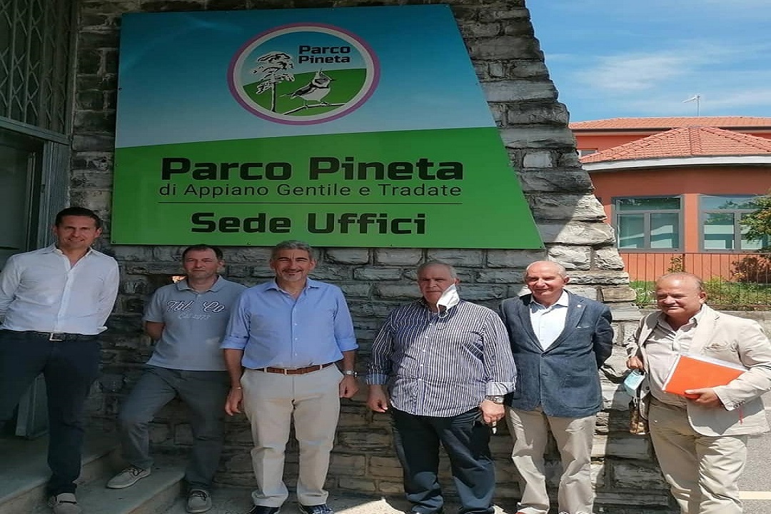 parco pineta