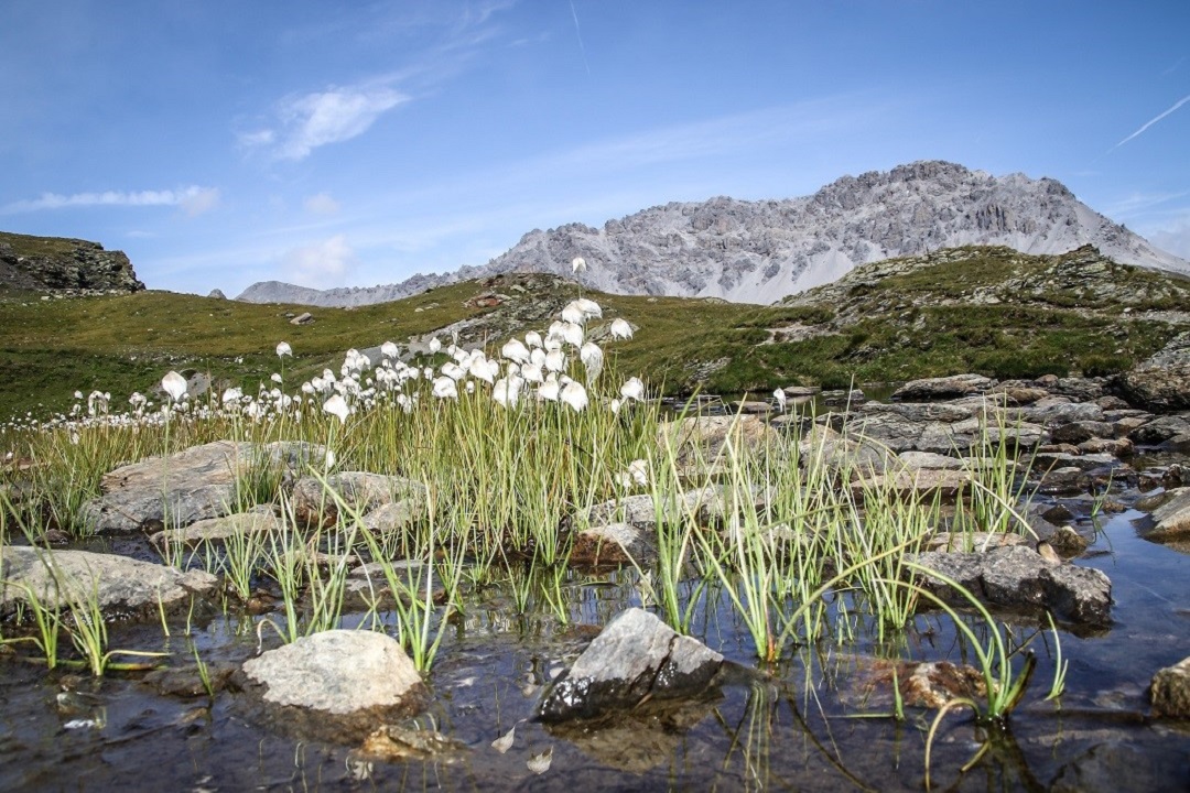 10 milioni passo stelvio