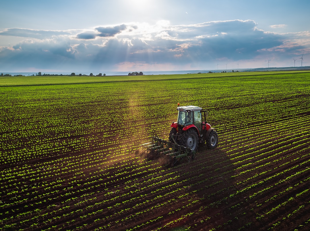 sisma mantova imprese agricole