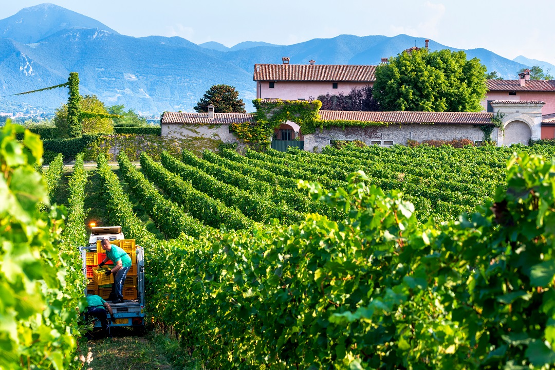 nuova sede consorzio franciacorta