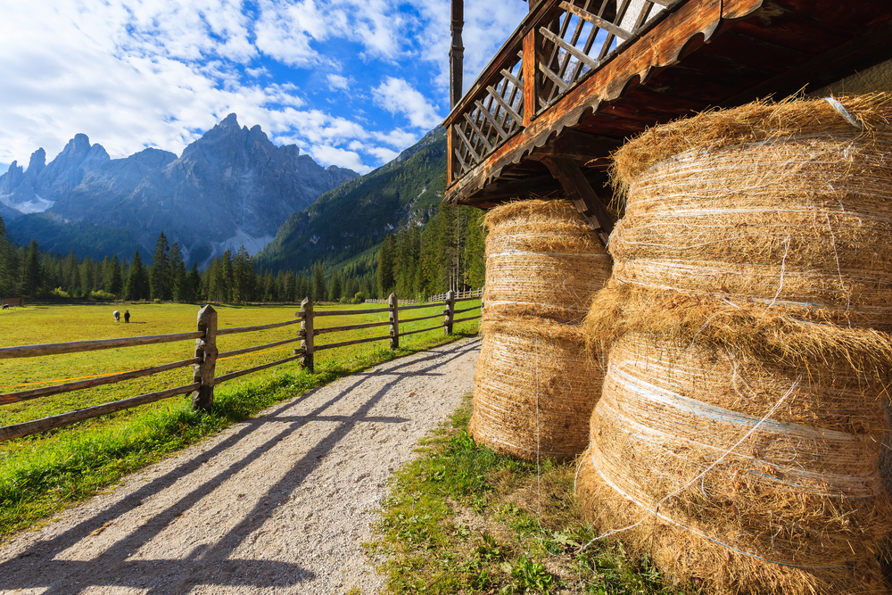 Agricoltura Comunita montane