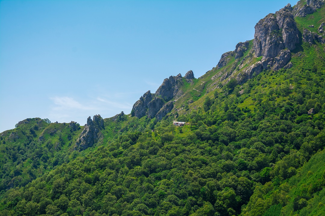 carta foreste lombardia