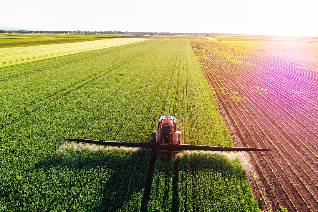 risorse agricoltori psr