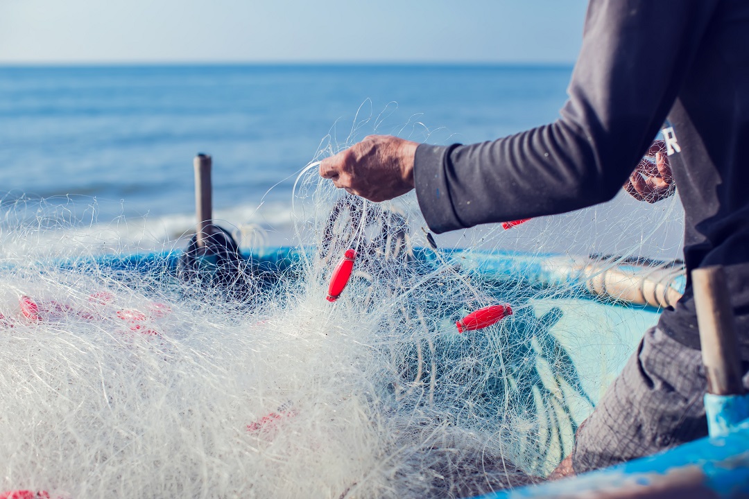 ristori pescatori professionisti