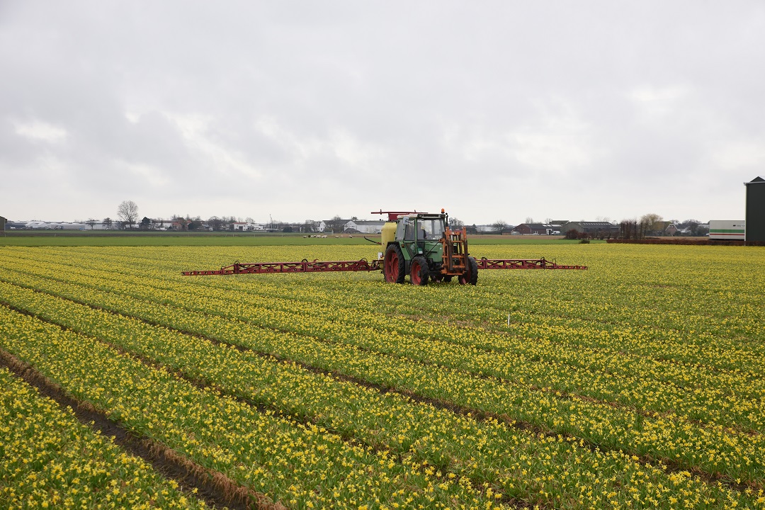 bilancio agricoltura