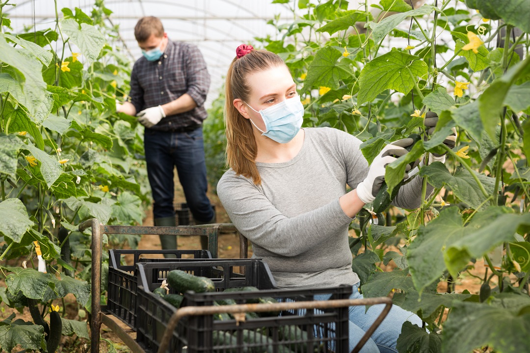 agricoltura aziende giovani