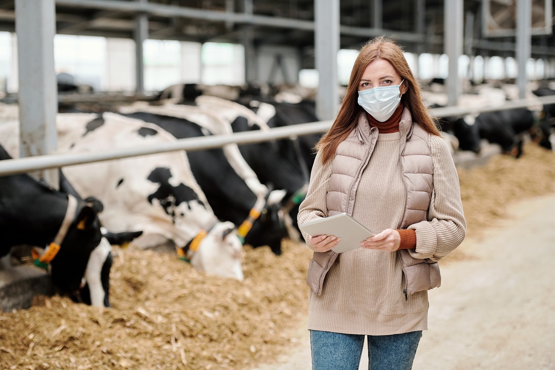 bando giovani agricoltori