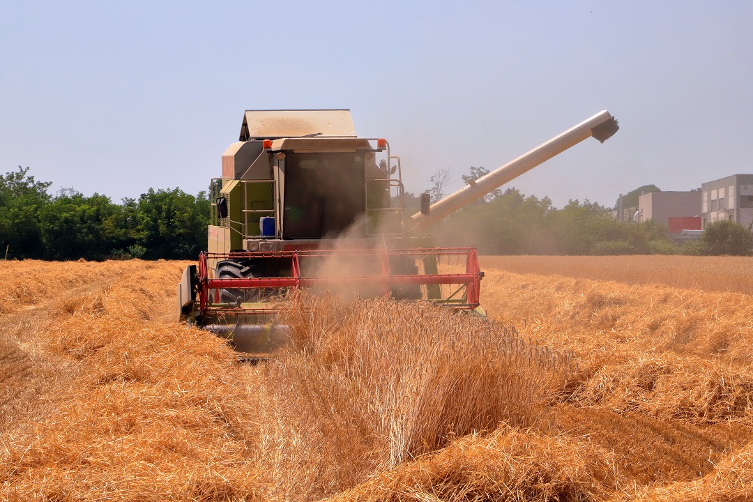 parco agricolo