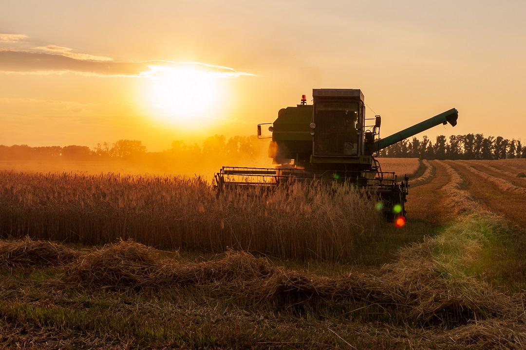 fondi feasr agricoltura