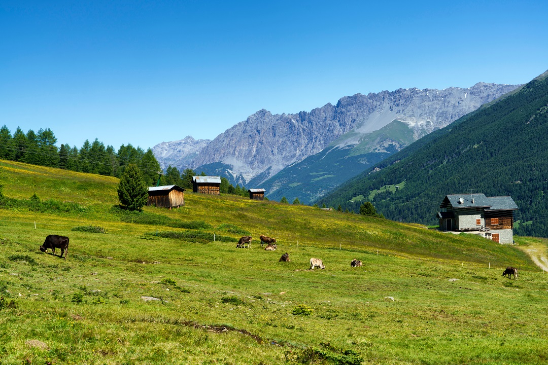 malghe lombarde