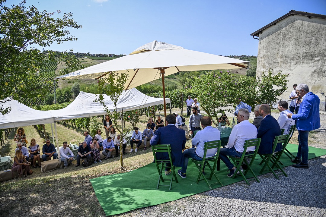 vendemmia oltrepò pavese