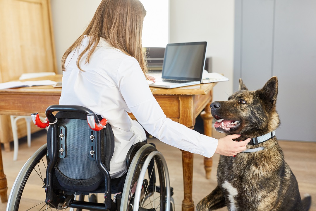 disabilità piano azione regionale