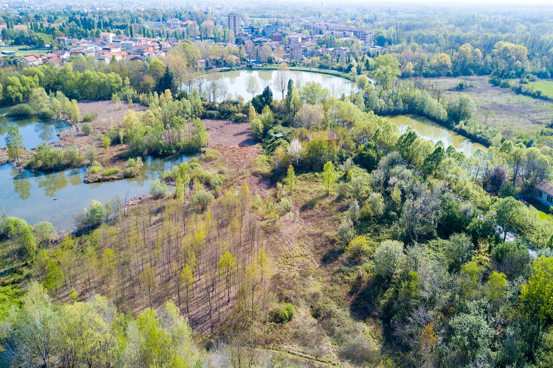 parco delle groane