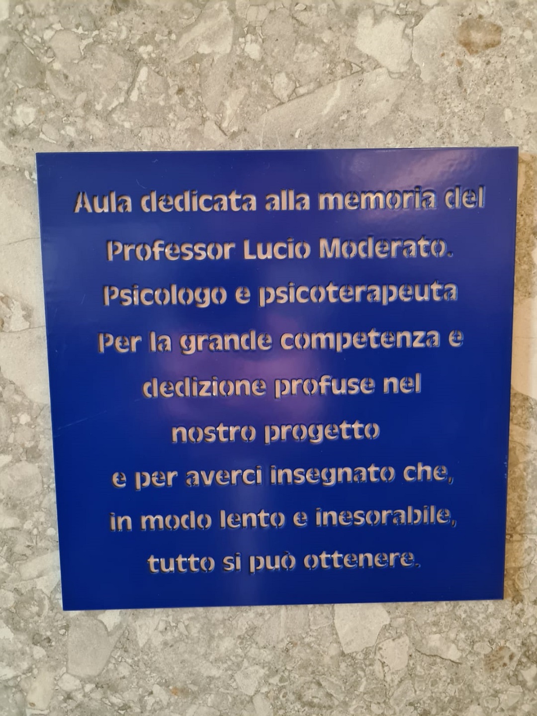 scuola futuro lavoro moderato
