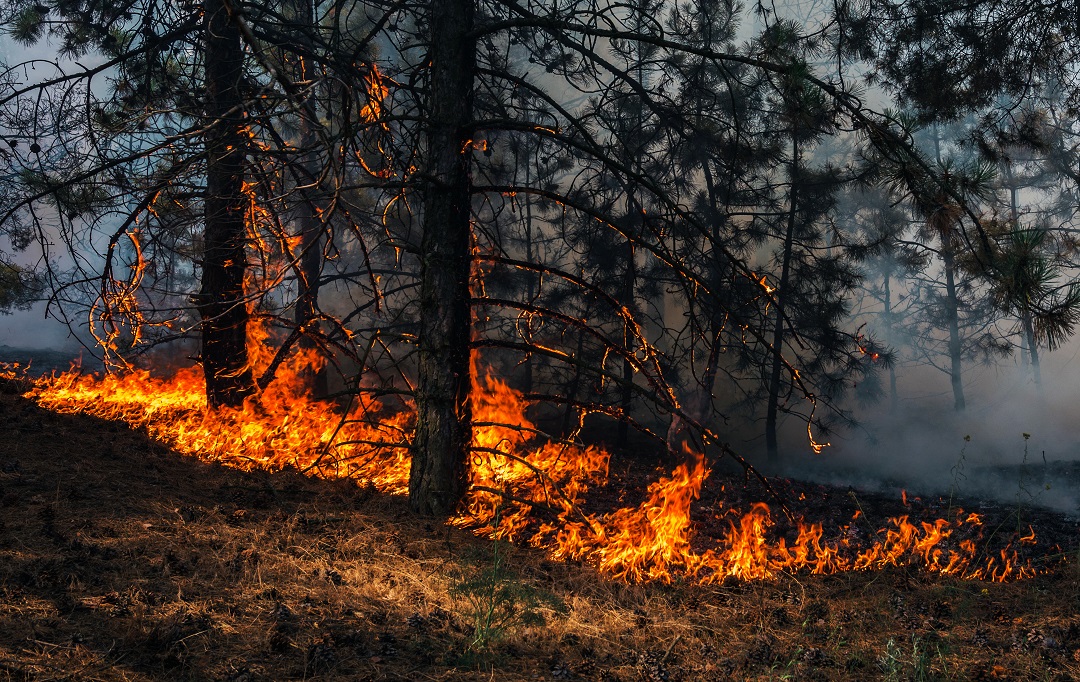 incendi inneschi