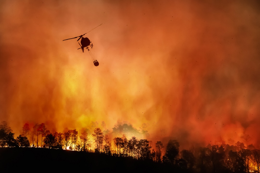 incendi boschivi regione lombardia