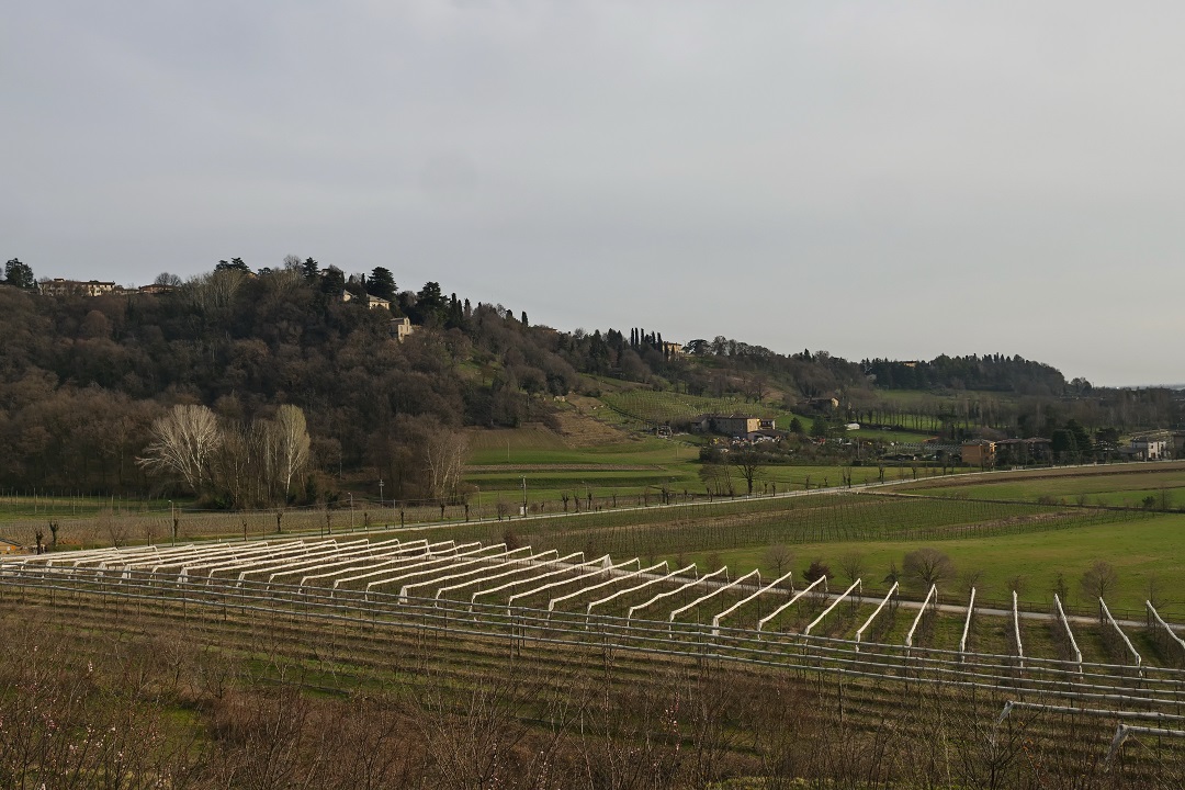 ampliamento parco colli bergamo