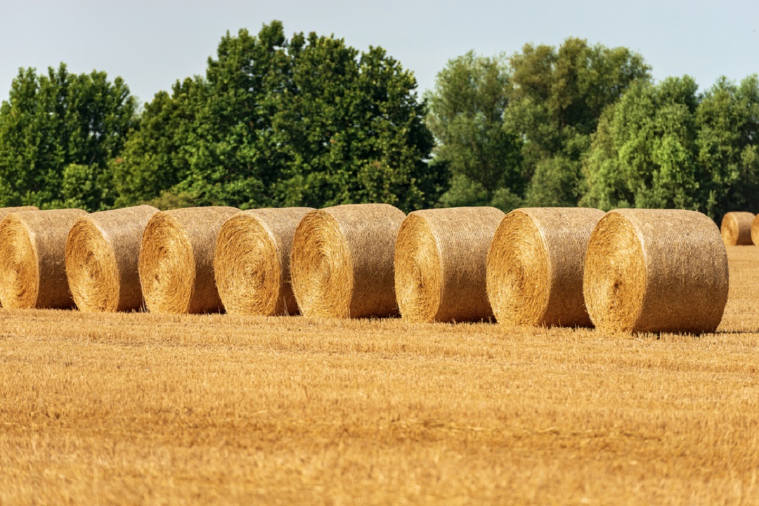 innovazione produttività agricoltura lombardia