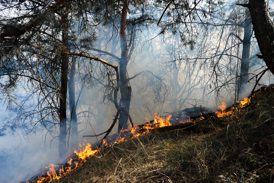 alto rischio incendi boschivi