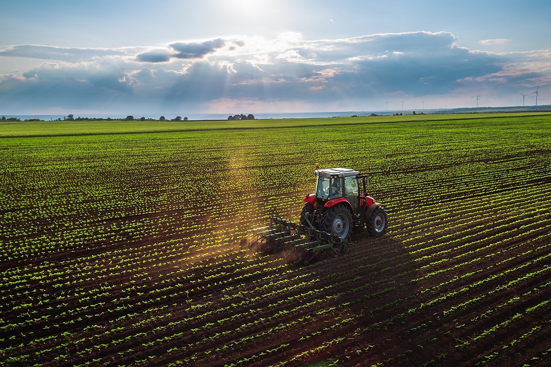 energia agricoltura produzione