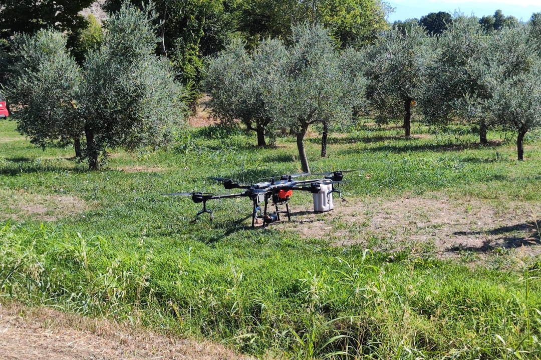 drone nelle coltivazioni