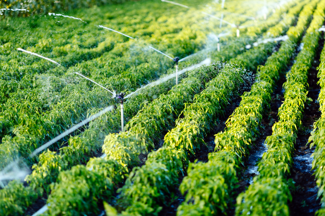 rolfi accordo acqua